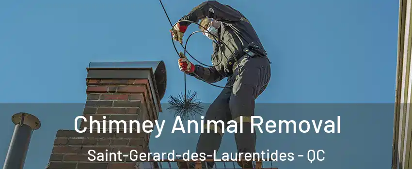  Chimney Animal Removal Saint-Gerard-des-Laurentides - QC