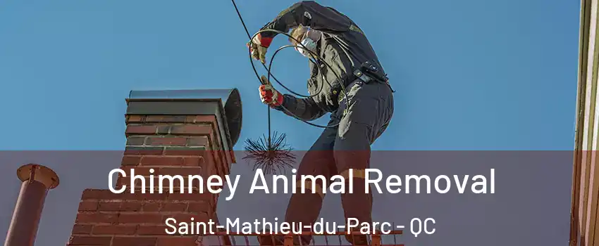  Chimney Animal Removal Saint-Mathieu-du-Parc - QC