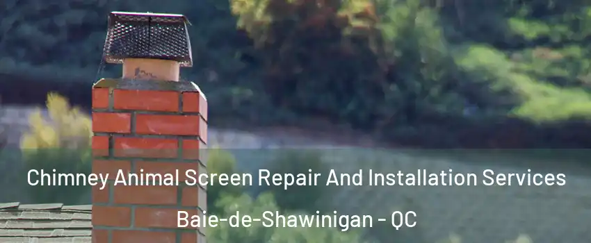  Chimney Animal Screen Repair And Installation Services Baie-de-Shawinigan - QC