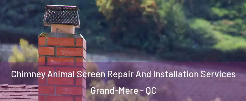  Chimney Animal Screen Repair And Installation Services Grand-Mere - QC