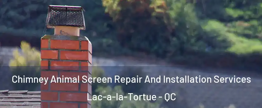  Chimney Animal Screen Repair And Installation Services Lac-a-la-Tortue - QC