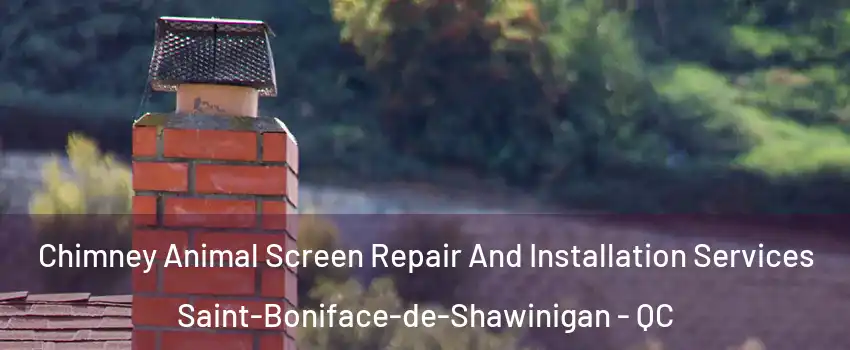  Chimney Animal Screen Repair And Installation Services Saint-Boniface-de-Shawinigan - QC