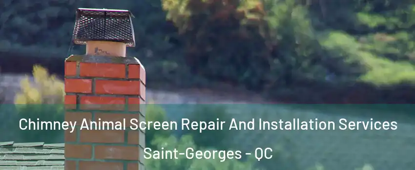  Chimney Animal Screen Repair And Installation Services Saint-Georges - QC