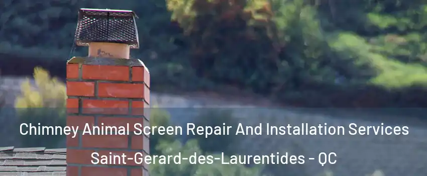  Chimney Animal Screen Repair And Installation Services Saint-Gerard-des-Laurentides - QC
