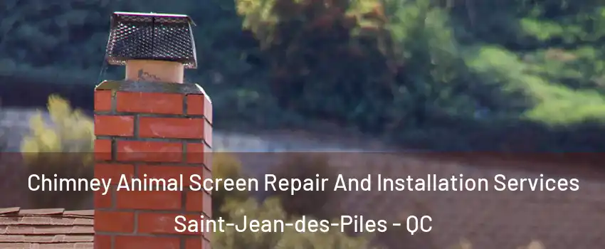  Chimney Animal Screen Repair And Installation Services Saint-Jean-des-Piles - QC