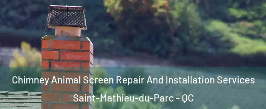  Chimney Animal Screen Repair And Installation Services Saint-Mathieu-du-Parc - QC