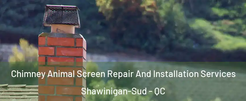  Chimney Animal Screen Repair And Installation Services Shawinigan-Sud - QC