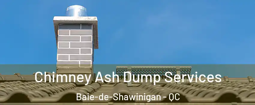  Chimney Ash Dump Services Baie-de-Shawinigan - QC