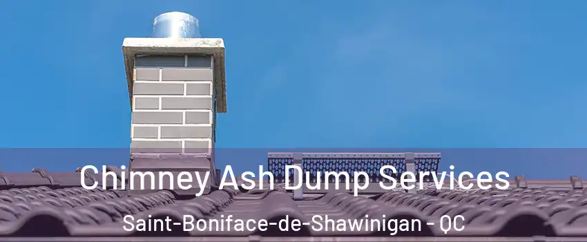  Chimney Ash Dump Services Saint-Boniface-de-Shawinigan - QC