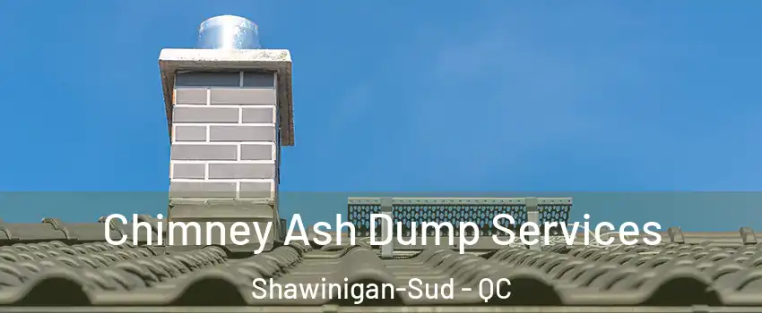  Chimney Ash Dump Services Shawinigan-Sud - QC