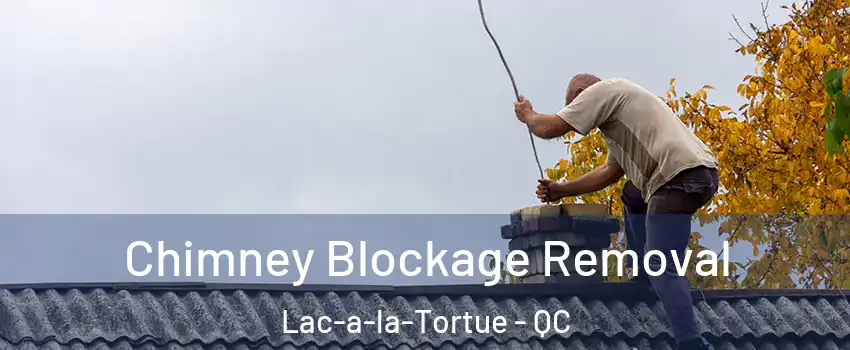  Chimney Blockage Removal Lac-a-la-Tortue - QC