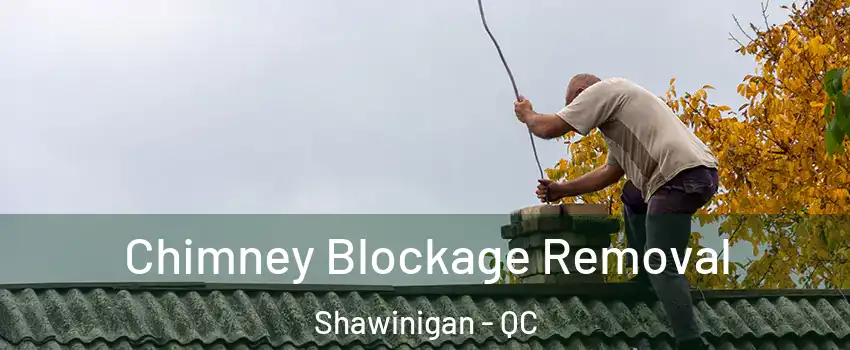  Chimney Blockage Removal Shawinigan - QC