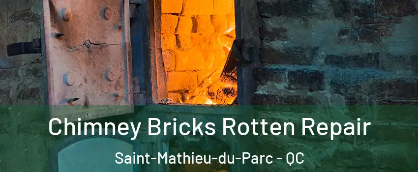  Chimney Bricks Rotten Repair Saint-Mathieu-du-Parc - QC
