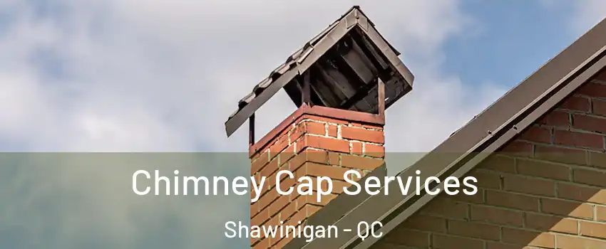  Chimney Cap Services Shawinigan - QC