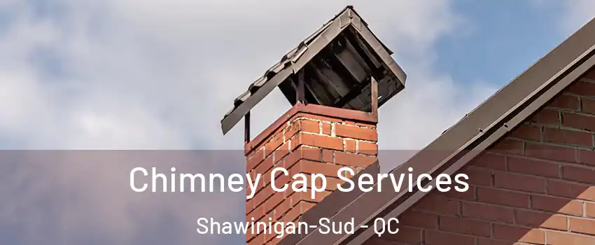  Chimney Cap Services Shawinigan-Sud - QC