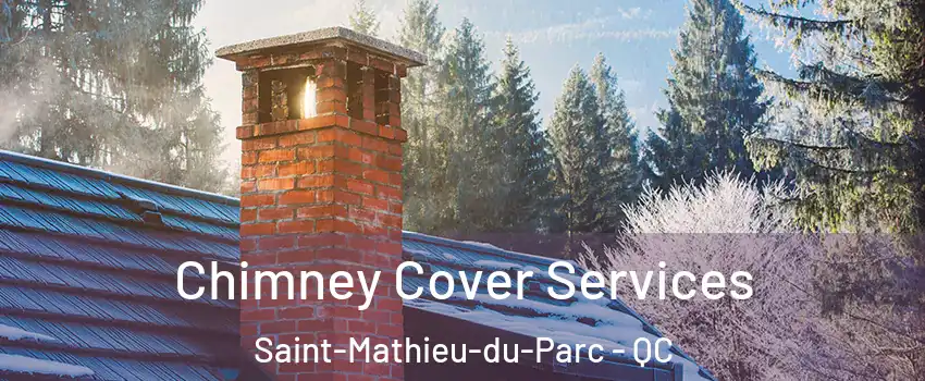  Chimney Cover Services Saint-Mathieu-du-Parc - QC