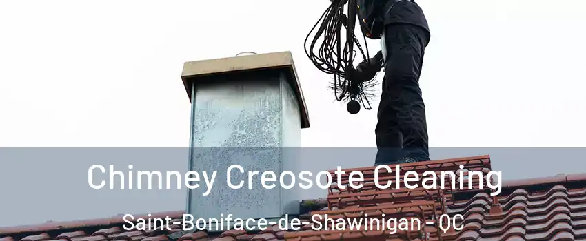  Chimney Creosote Cleaning Saint-Boniface-de-Shawinigan - QC