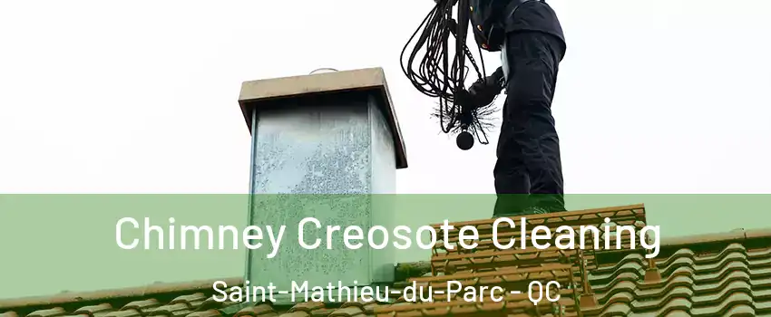  Chimney Creosote Cleaning Saint-Mathieu-du-Parc - QC