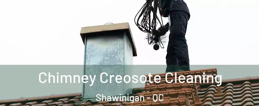  Chimney Creosote Cleaning Shawinigan - QC