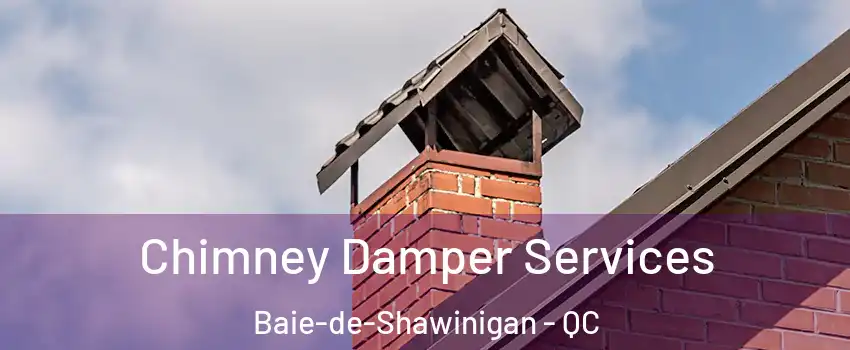  Chimney Damper Services Baie-de-Shawinigan - QC