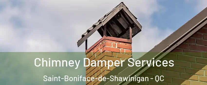  Chimney Damper Services Saint-Boniface-de-Shawinigan - QC