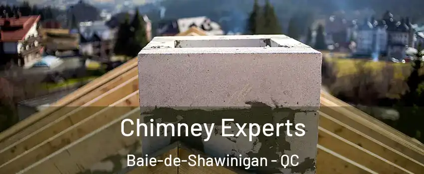  Chimney Experts Baie-de-Shawinigan - QC
