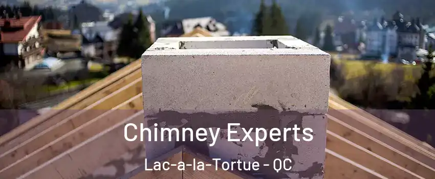  Chimney Experts Lac-a-la-Tortue - QC