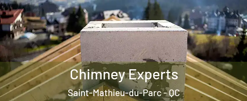  Chimney Experts Saint-Mathieu-du-Parc - QC