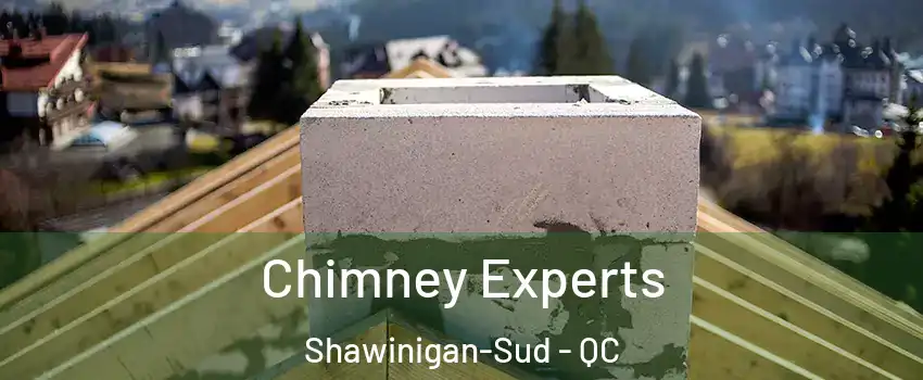  Chimney Experts Shawinigan-Sud - QC