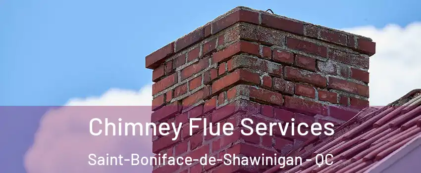  Chimney Flue Services Saint-Boniface-de-Shawinigan - QC