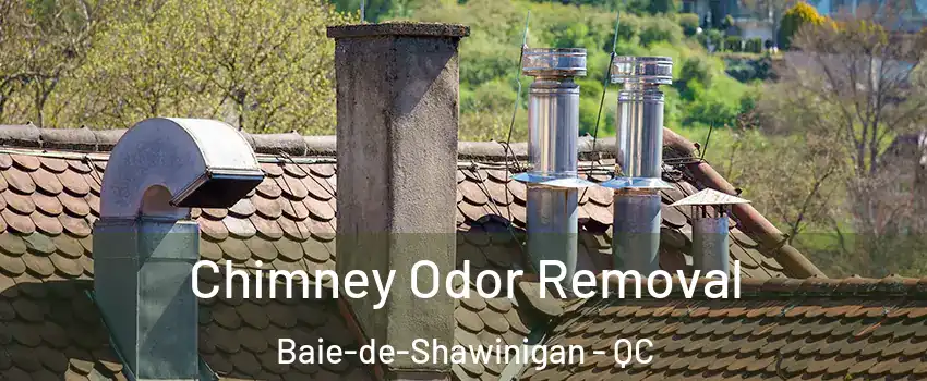  Chimney Odor Removal Baie-de-Shawinigan - QC