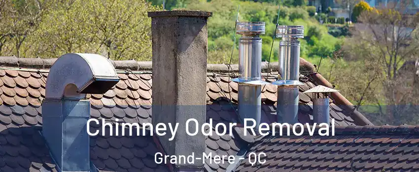  Chimney Odor Removal Grand-Mere - QC