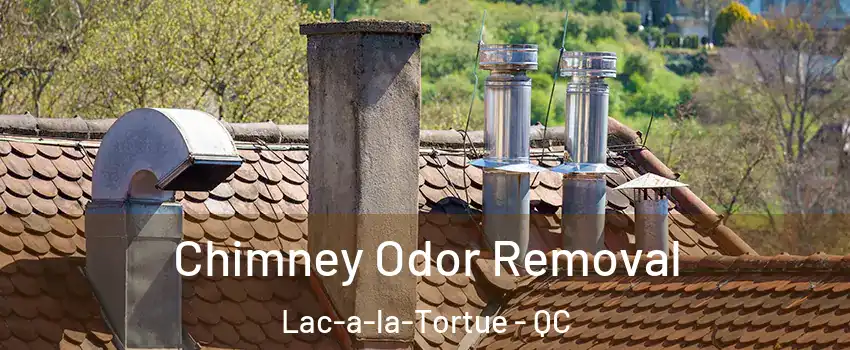  Chimney Odor Removal Lac-a-la-Tortue - QC