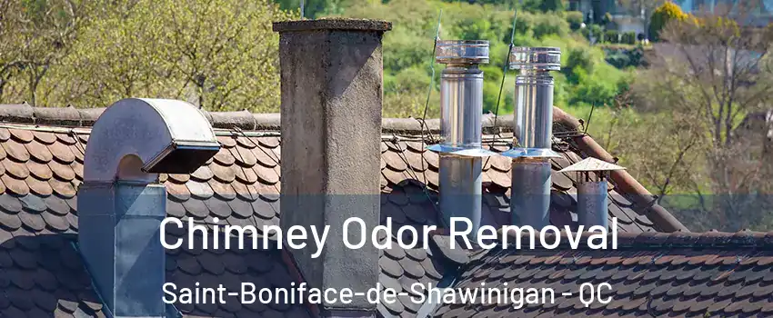  Chimney Odor Removal Saint-Boniface-de-Shawinigan - QC