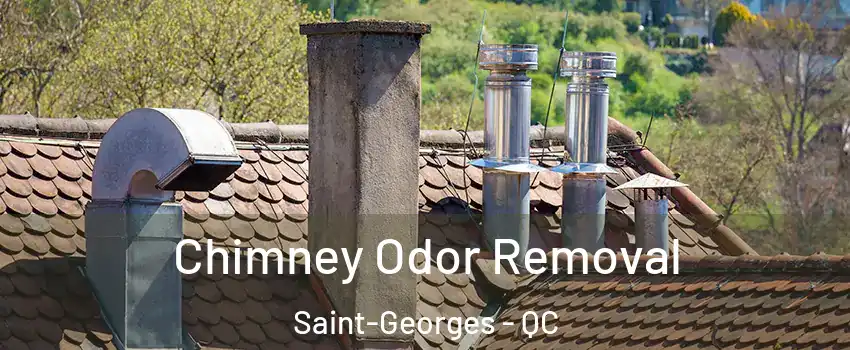  Chimney Odor Removal Saint-Georges - QC