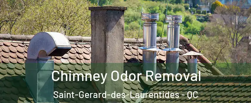  Chimney Odor Removal Saint-Gerard-des-Laurentides - QC