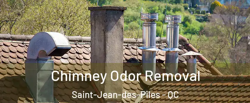  Chimney Odor Removal Saint-Jean-des-Piles - QC