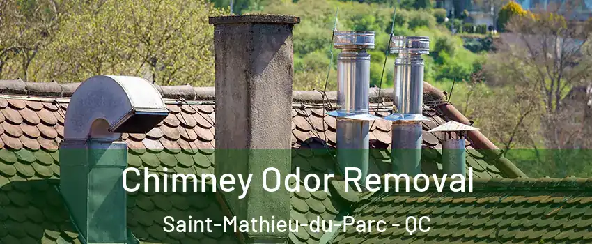  Chimney Odor Removal Saint-Mathieu-du-Parc - QC