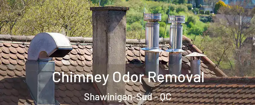  Chimney Odor Removal Shawinigan-Sud - QC