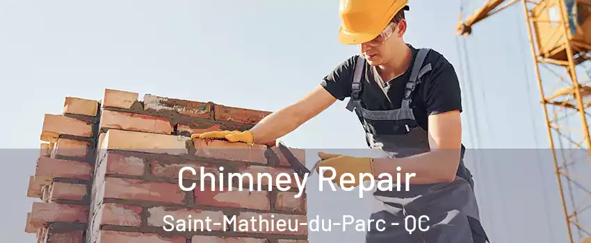  Chimney Repair Saint-Mathieu-du-Parc - QC
