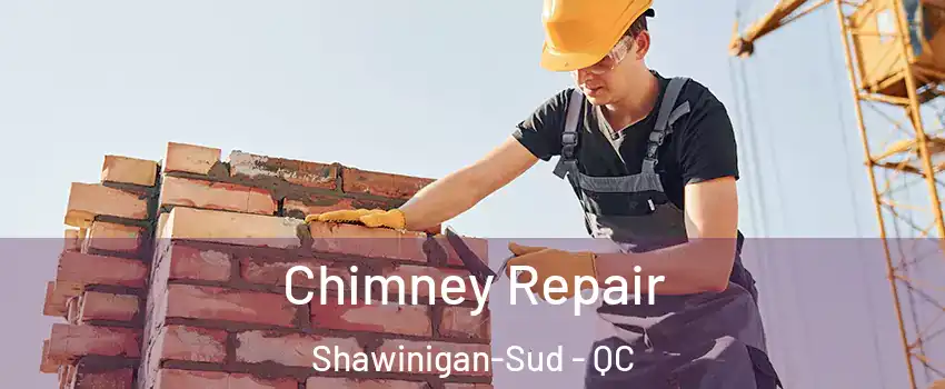  Chimney Repair Shawinigan-Sud - QC