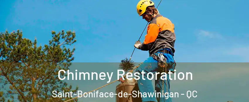  Chimney Restoration Saint-Boniface-de-Shawinigan - QC