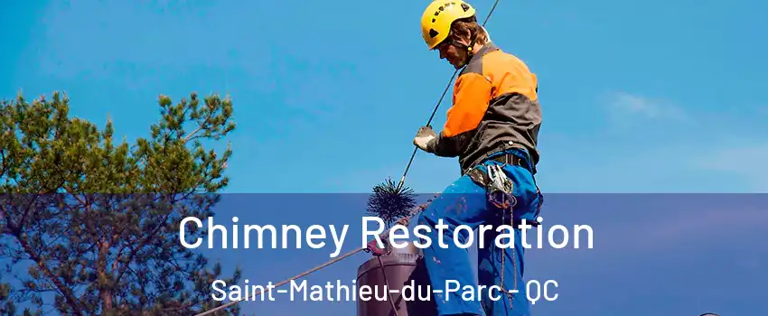  Chimney Restoration Saint-Mathieu-du-Parc - QC