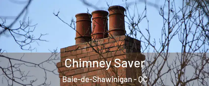  Chimney Saver Baie-de-Shawinigan - QC
