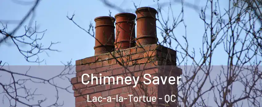  Chimney Saver Lac-a-la-Tortue - QC