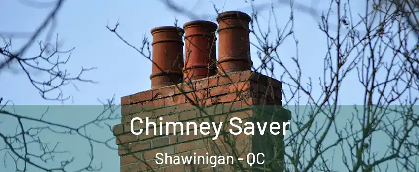 Chimney Saver Shawinigan - QC