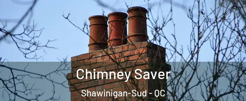  Chimney Saver Shawinigan-Sud - QC