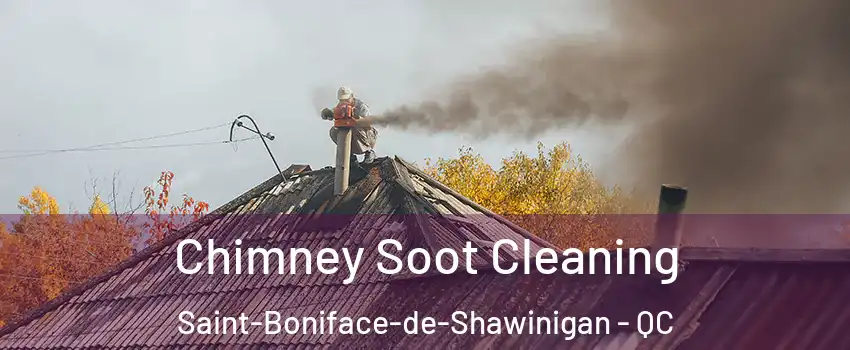  Chimney Soot Cleaning Saint-Boniface-de-Shawinigan - QC