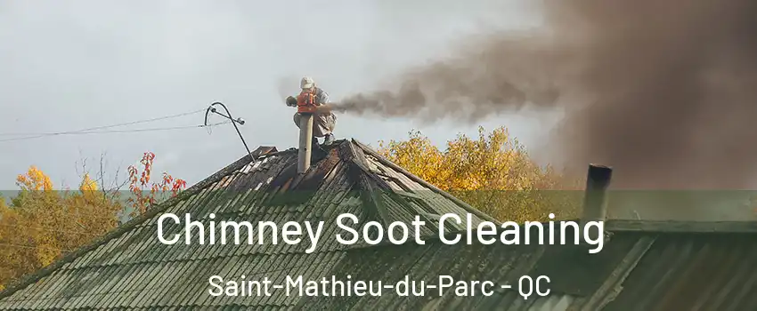  Chimney Soot Cleaning Saint-Mathieu-du-Parc - QC