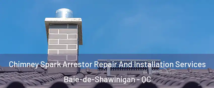  Chimney Spark Arrestor Repair And Installation Services Baie-de-Shawinigan - QC
